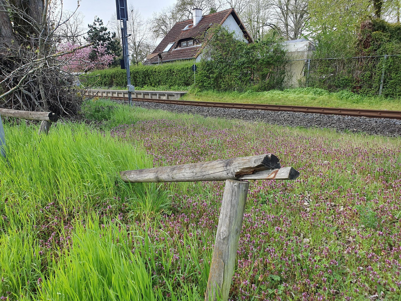 Marode Absperrung am Klein-Auheimer Bahnhof
