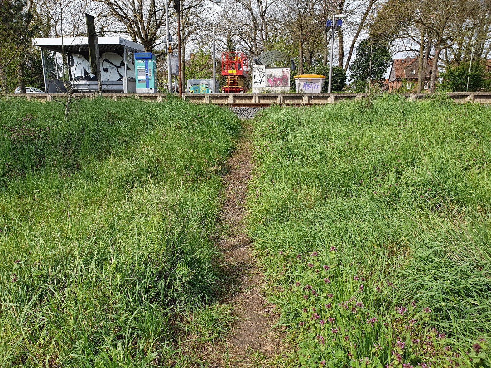 Trampelpfade zum Klein-Auheimer Bahnhof
